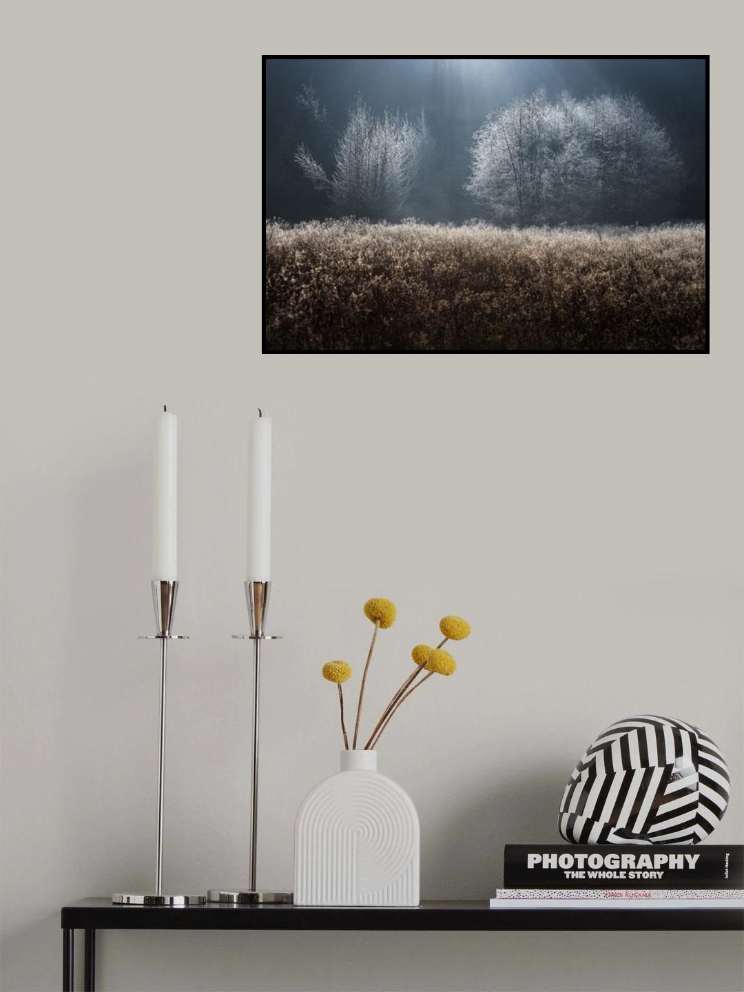 Poster och Canvastavla