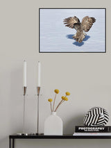 Just Before The Catch Poster och Canvastavla