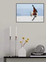 Beauty of Fish Eagle Poster och Canvastavla