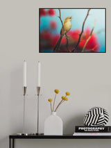 Graceful Pirinia Poster och Canvastavla