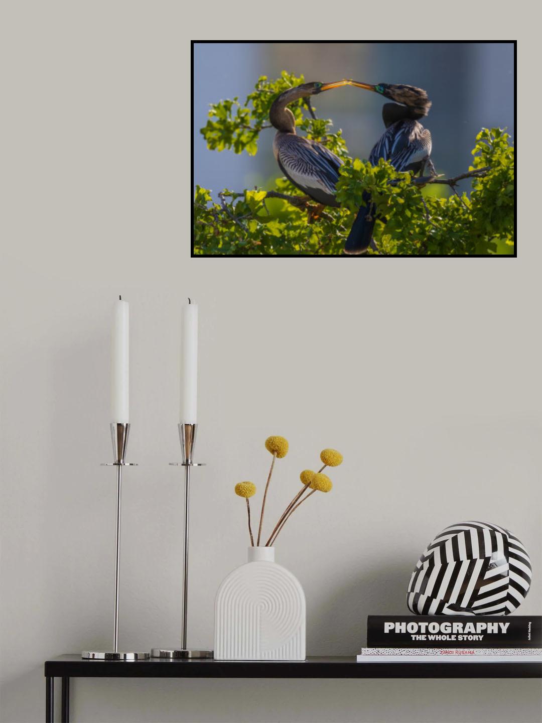 Fall in Love Poster och Canvastavla