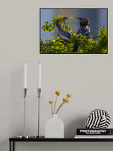 Fall in Love Poster och Canvastavla