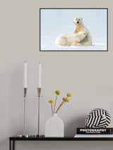 Milk time on ice Poster och Canvastavla