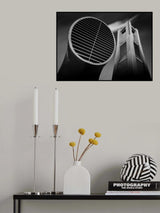 Twins Poster och Canvastavla