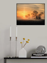 Poster och Canvastavla