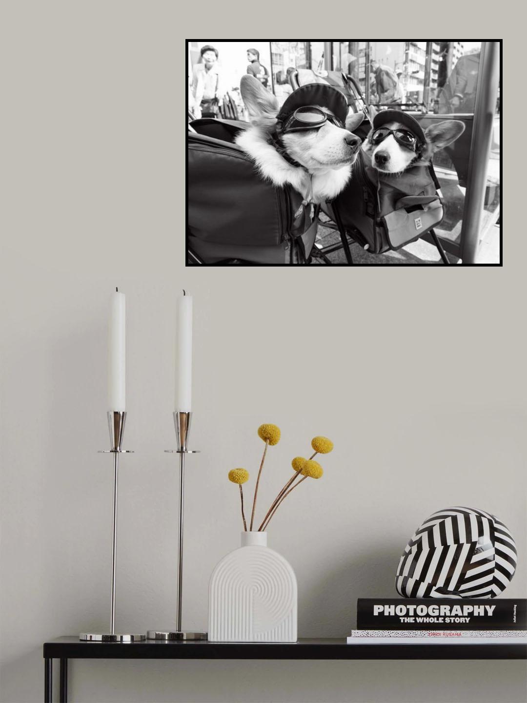 you say [conversation of the corgi] Poster och Canvastavla