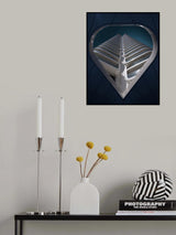 The special point of view Poster och Canvastavla