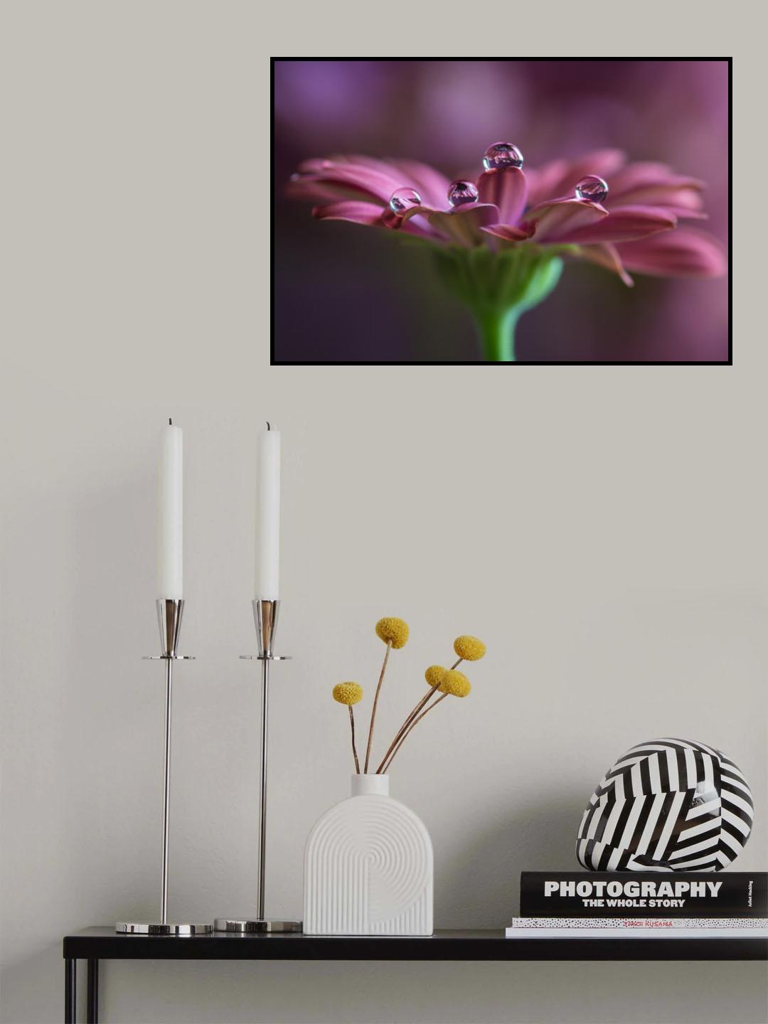 Gocce gocce …  su di me Poster och Canvastavla