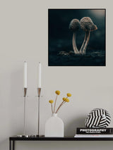 micro-universe II Poster och Canvastavla