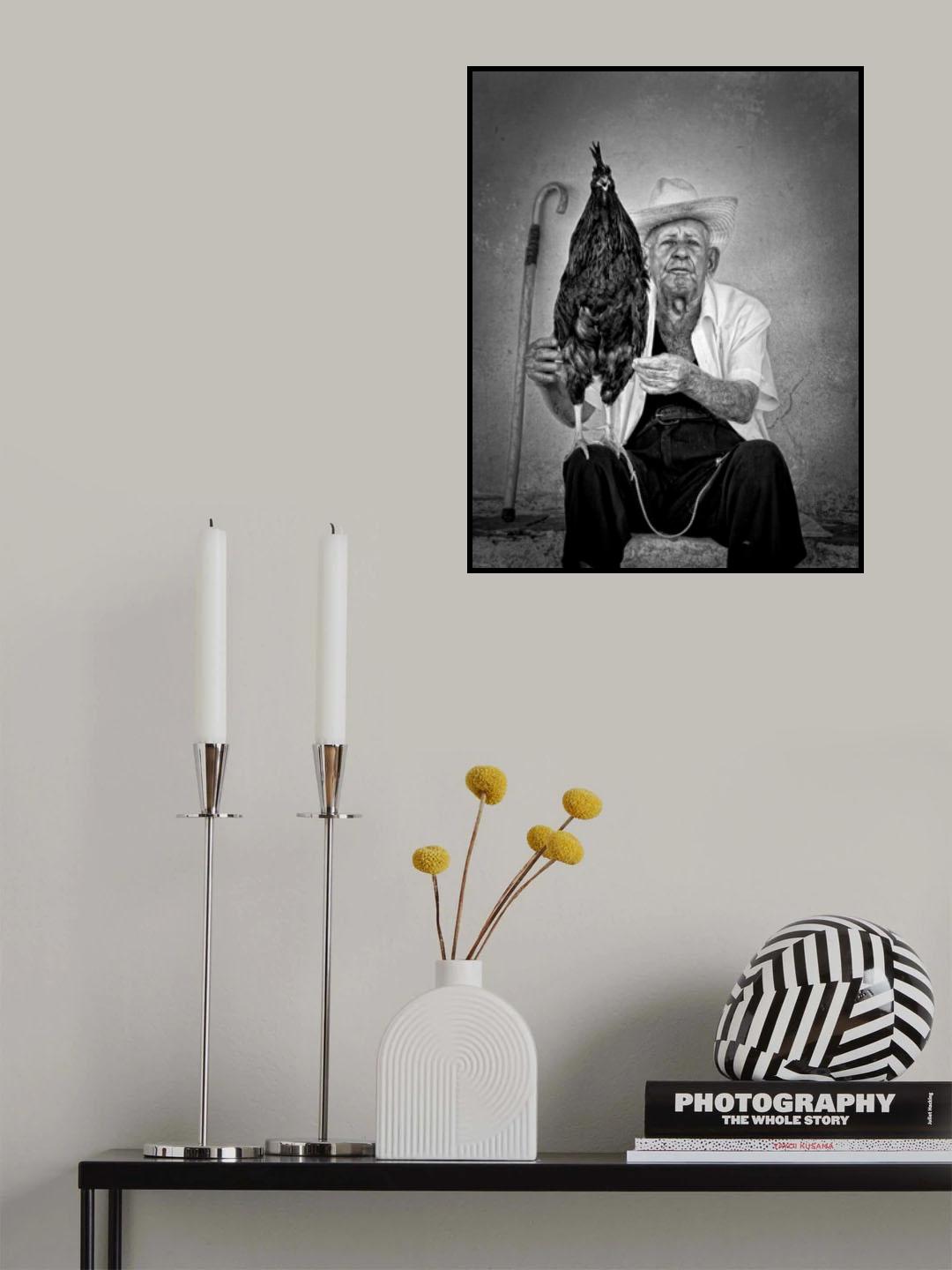 The old man with his figting cock Poster och Canvastavla