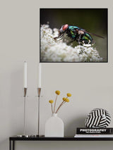 Feasting on Flowers Poster och Canvastavla