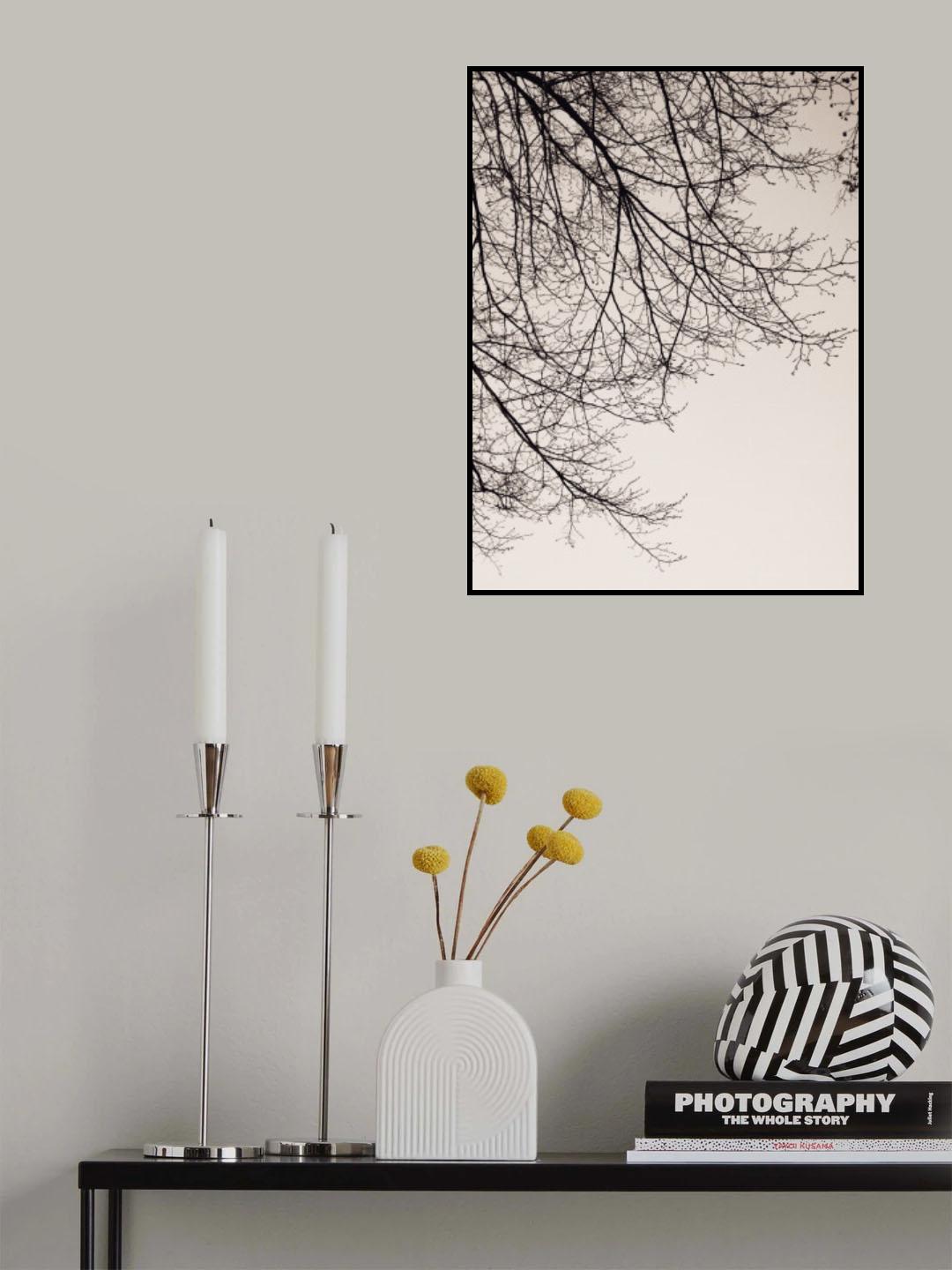 Branches against the sky -BW Poster och Canvastavla