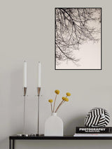 Branches against the sky -BW Poster och Canvastavla