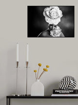 Queen of flowers 2 Poster och Canvastavla
