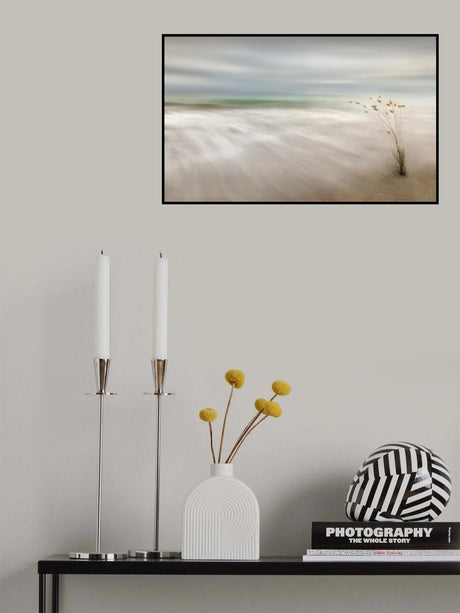 Ears in the Sea Poster och Canvastavla