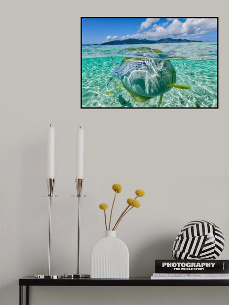 Swimming pool Poster och Canvastavla