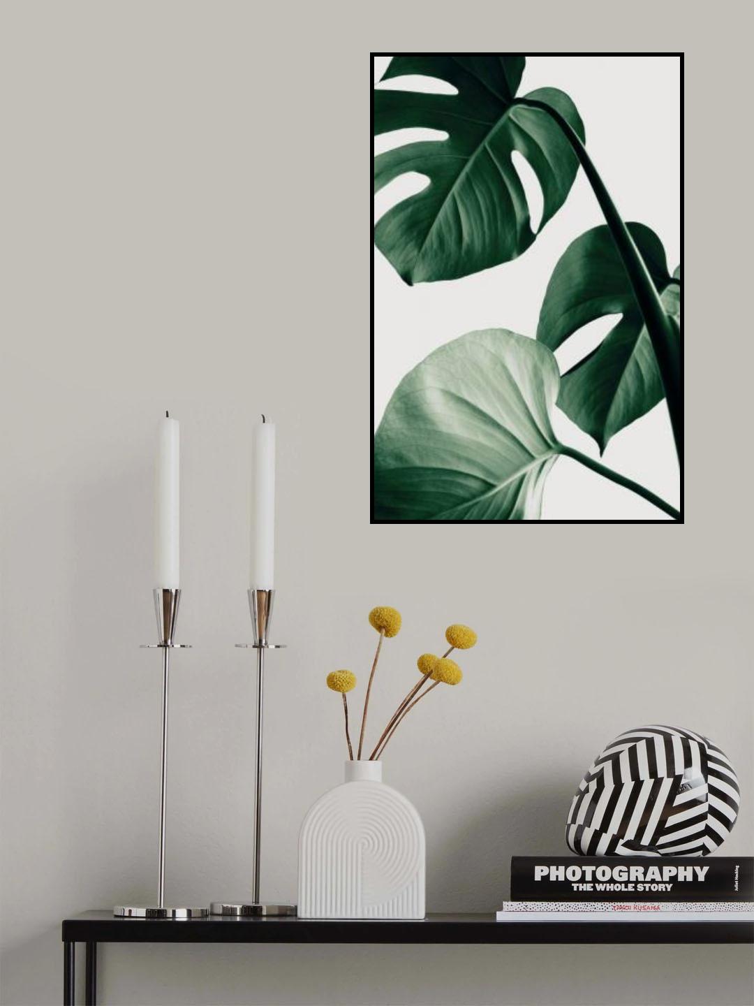 Monstera Natural 42 Poster och Canvastavla