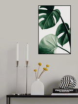 Monstera Natural 42 Poster och Canvastavla
