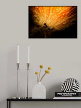 Fireworks Poster och Canvastavla