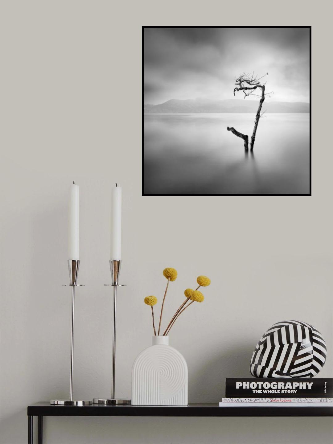Flood Poster och Canvastavla