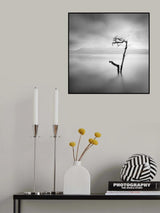 Flood Poster och Canvastavla