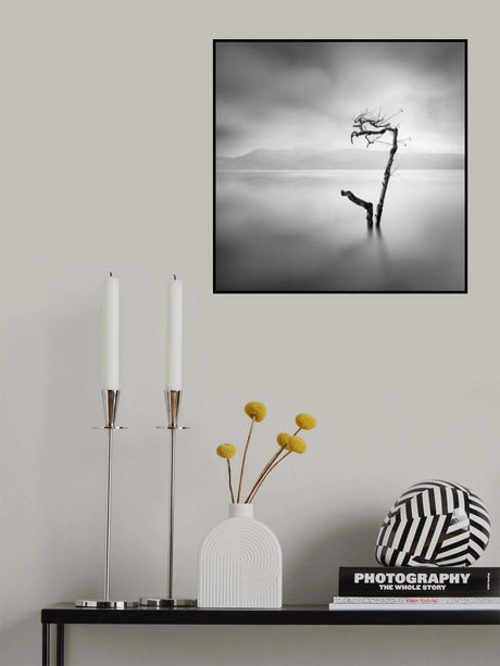 Flood Poster och Canvastavla