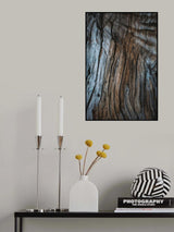 Eucalyptus Texture Poster och Canvastavla