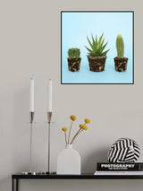 Cactus.1 Poster och Canvastavla