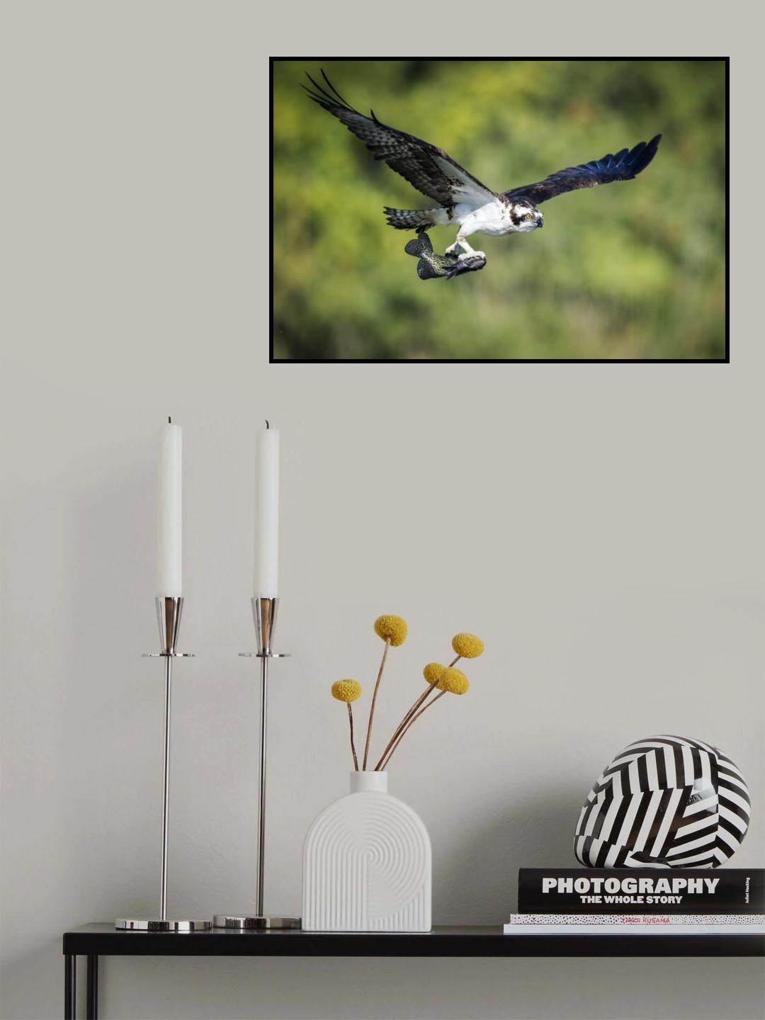 Poster och Canvastavla
