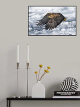 White-tailed Eagle Poster och Canvastavla
