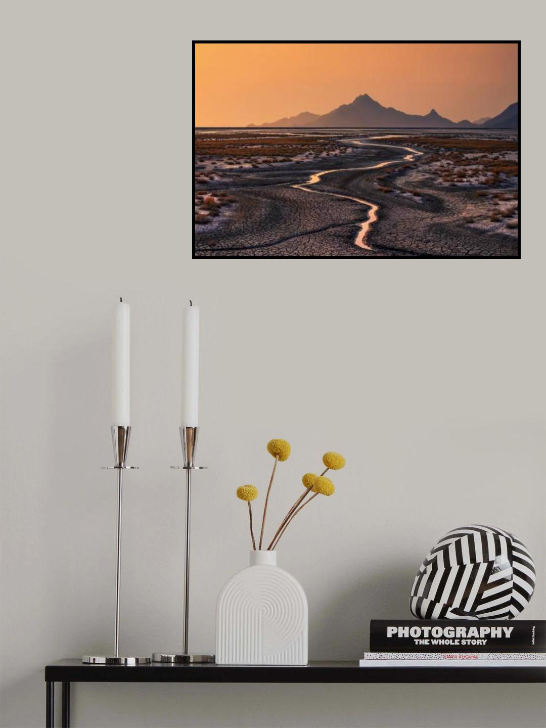 Drought Poster och Canvastavla