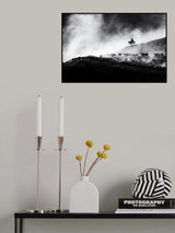 flock of sheep Poster och Canvastavla