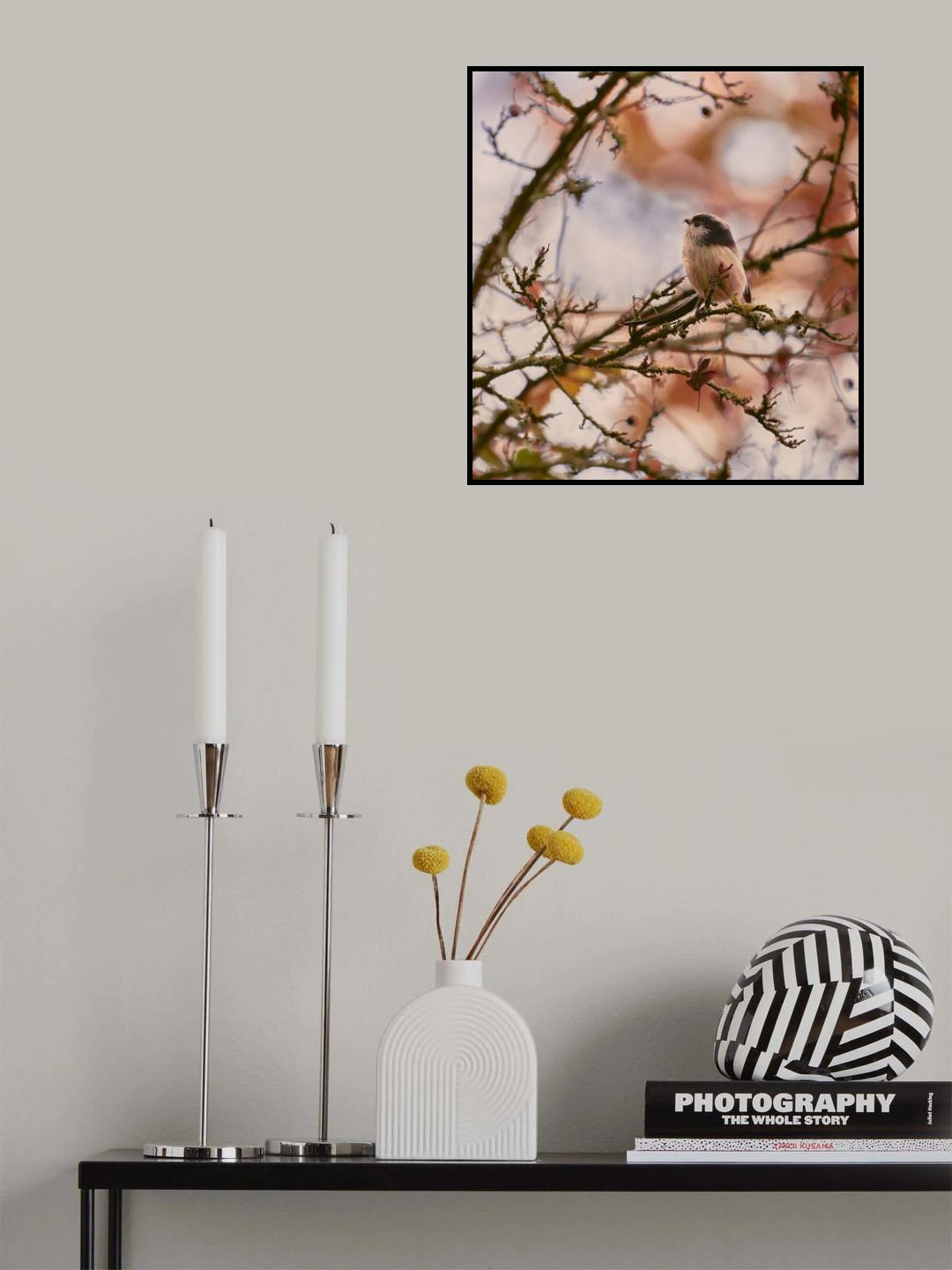Long Tailed Tit Poster och Canvastavla