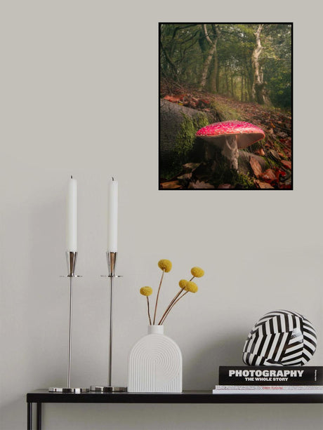 Agaric Dreams Poster och Canvastavla