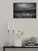 Poster och Canvastavla
