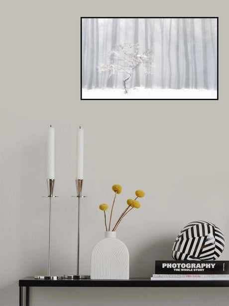 In front of the misty curtain Poster och Canvastavla
