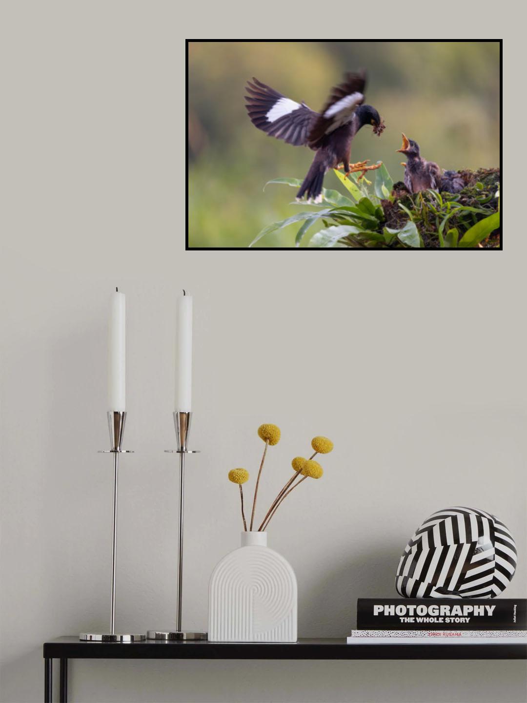 Poster och Canvastavla