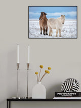 B R O T H E R S Poster och Canvastavla