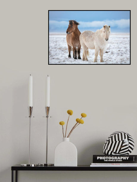 B R O T H E R S Poster och Canvastavla