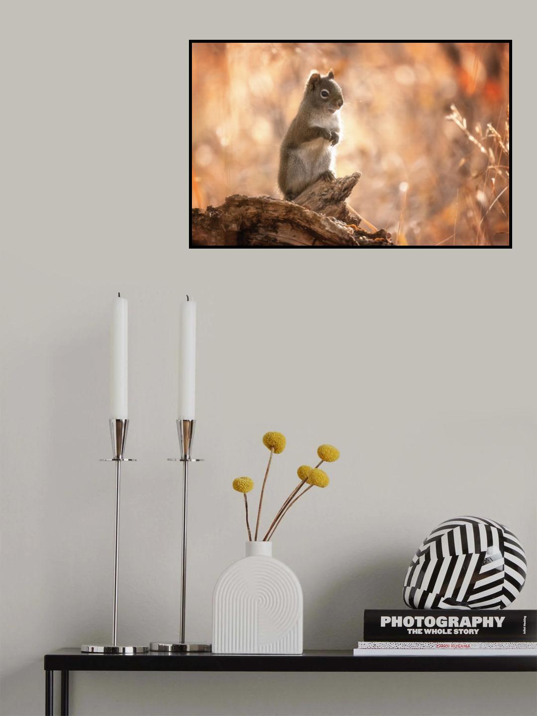 Hello, Squirrel Poster och Canvastavla