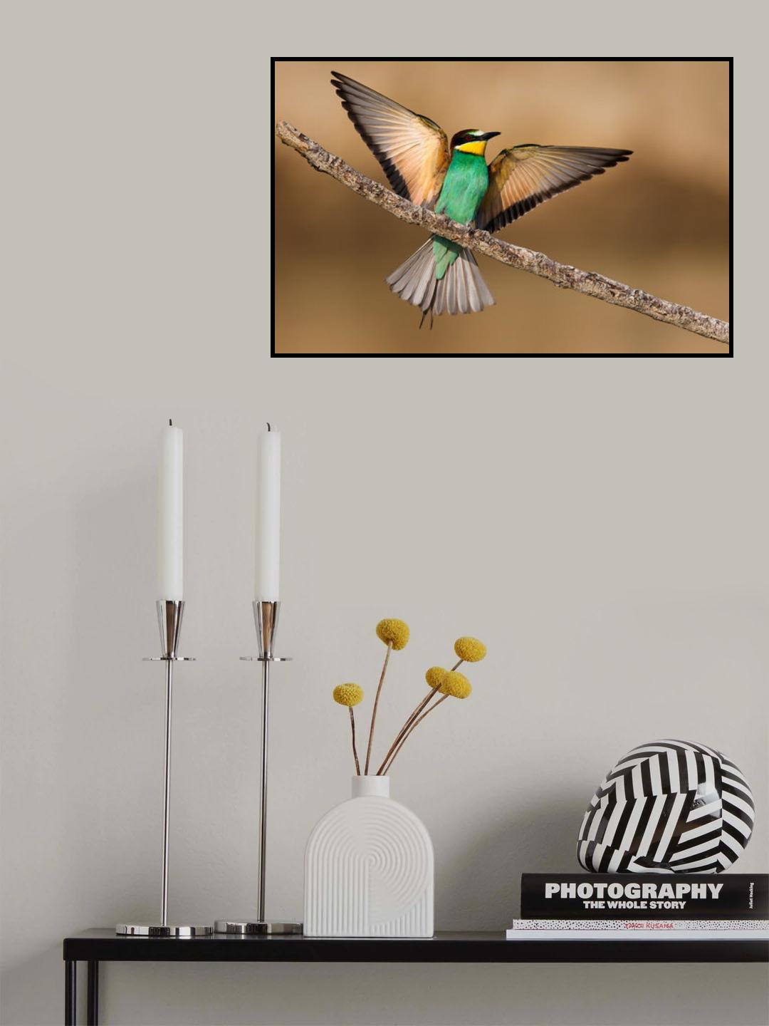 Bee-eater Poster och Canvastavla