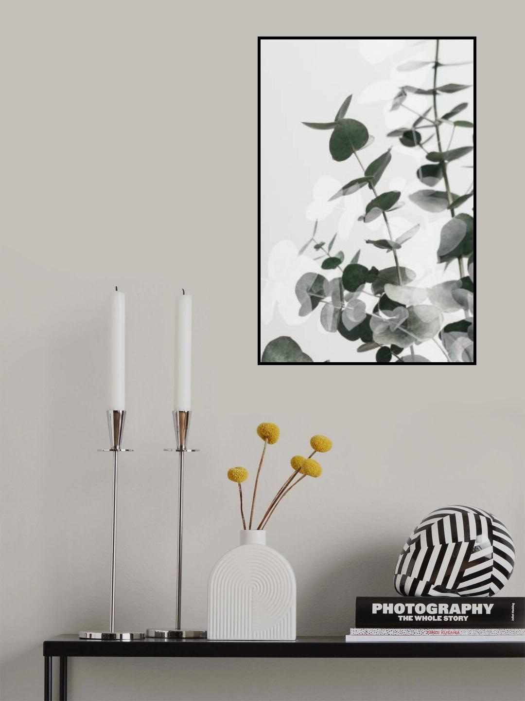 Eucalyptus Creative 03 Poster och Canvastavla
