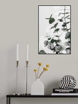 Eucalyptus Creative 03 Poster och Canvastavla