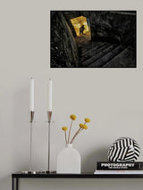 Life Descent Poster och Canvastavla