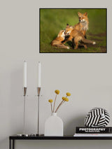Guarding Poster och Canvastavla