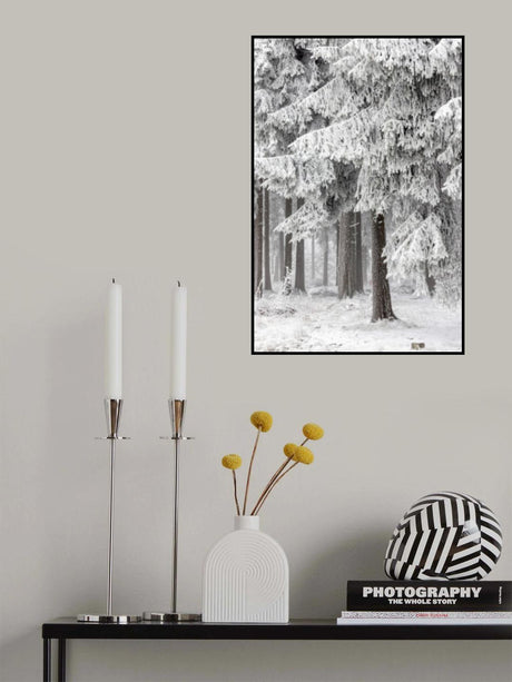 Winter Forest 2 Poster och Canvastavla
