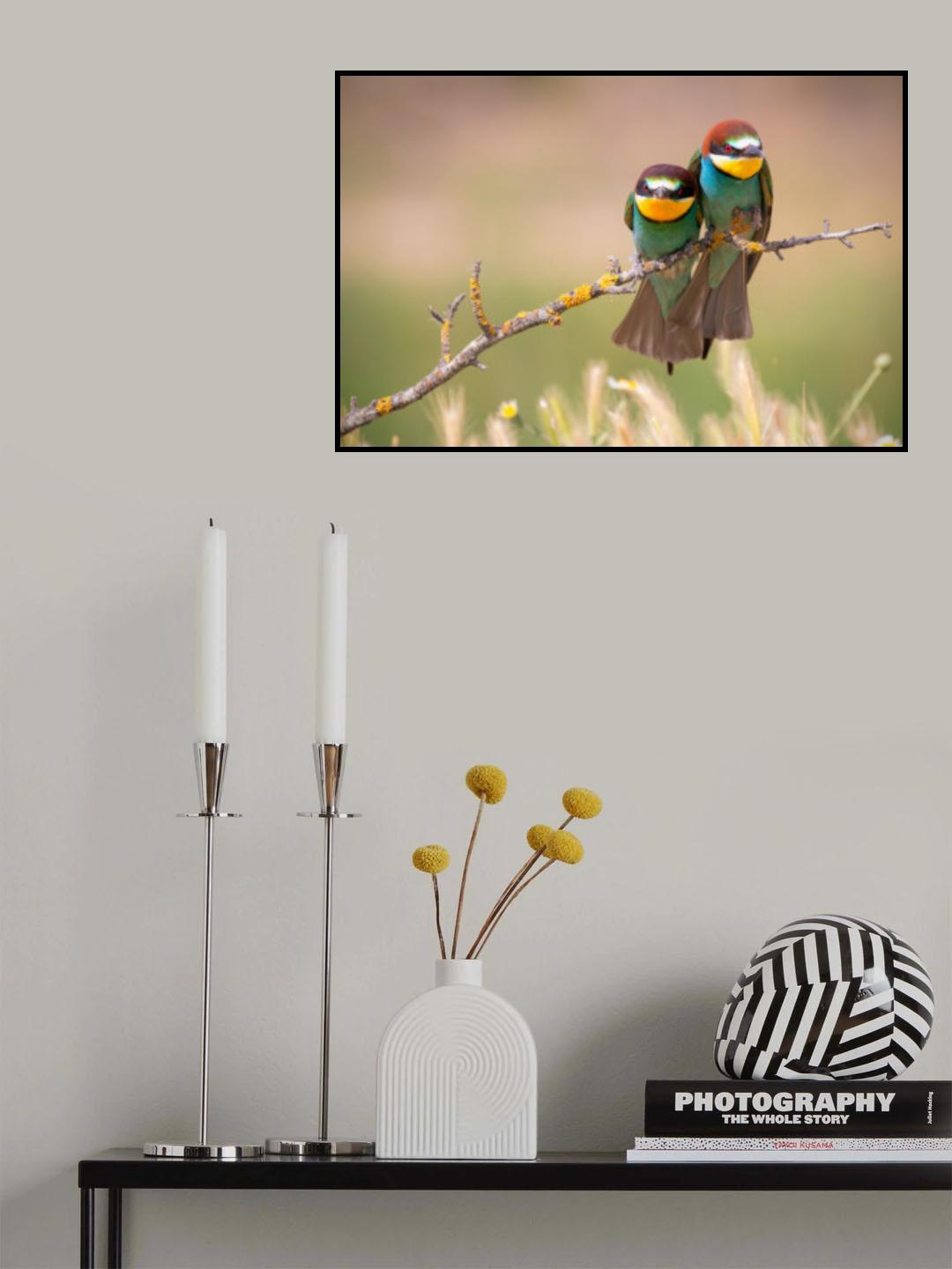 Grouchy birds! Poster och Canvastavla