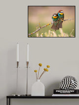 Grouchy birds! Poster och Canvastavla
