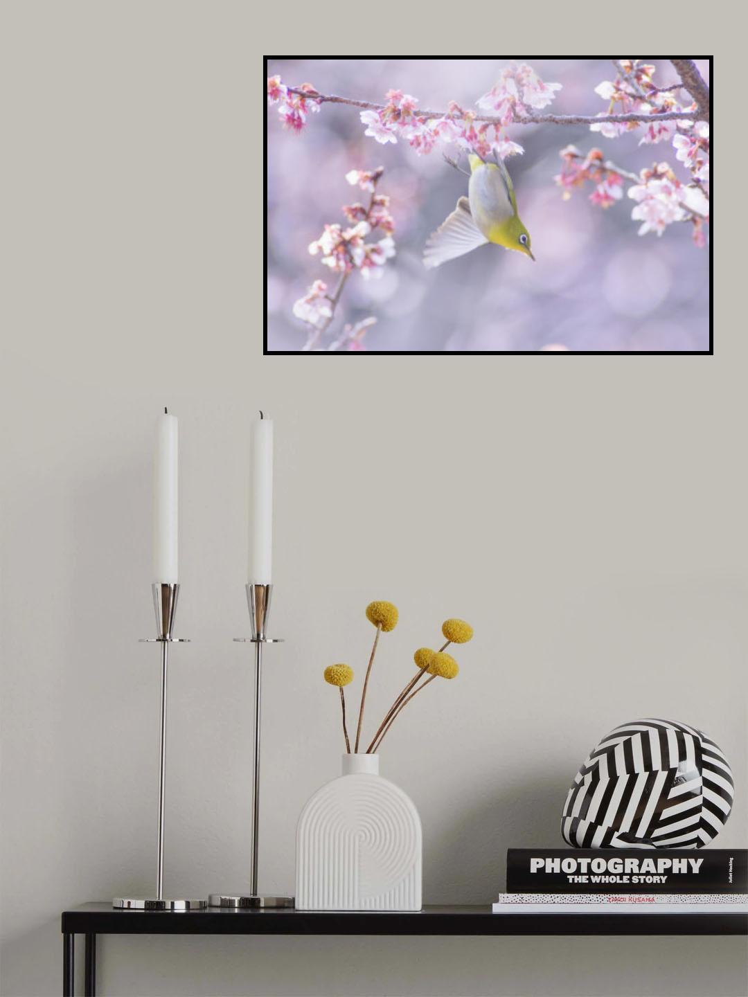 Zosterops japonicus Poster och Canvastavla