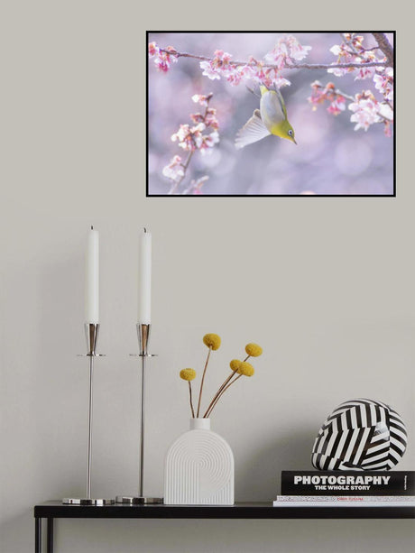 Zosterops japonicus Poster och Canvastavla